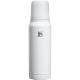 Stanley 1913 Fitness & hydratatie Bouteille Unisexe Argent