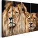 Artaza Canvas Schilderij Vierluik Leeuw en Leeuwin - 80x60 cm