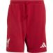 Adidas Liverpool FC DNA Short