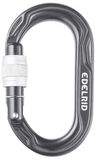 Edelrid Kiwi Screw Karabijnhaak Grijs