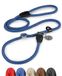 Retriever Lionto Retriever hondenriem trainingslijn trekkoord 170 cm Blauw