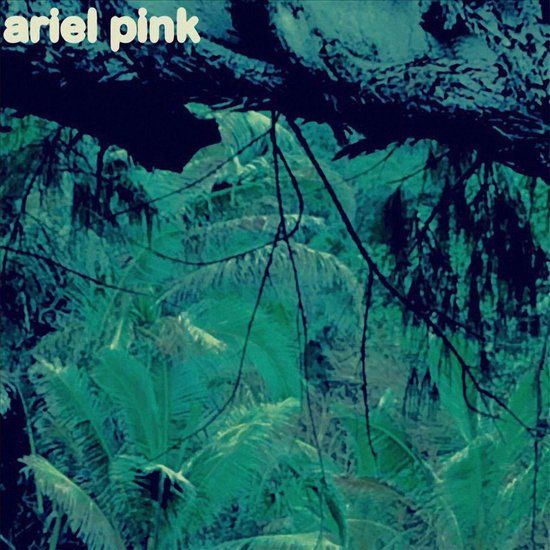Bertus Distributie Ariel Pink Odditties Sodomies Vol.3 LP