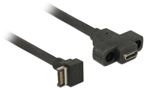 Delock USB 3.1 Gen 2 Key A naar USB-C Paneelmontage Kabel - 45cm - Zwart