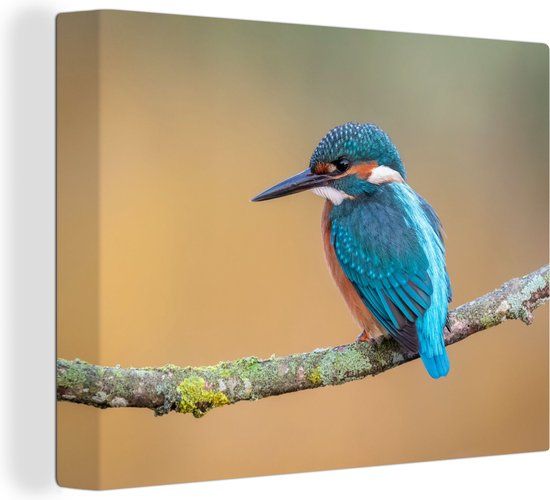 OneMillionCanvasses Canvas schilderij 160x120 cm - IJsvogel - Dieren - Modern - Multicolor