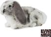 Living Nature Knuffel Konijn Hangoor Grijs-Wit