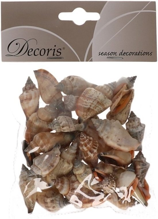 Decoris Puntige decoratie schelpen Strombus Urceum 3 cm - Natuurlijke schelpjes in zakje - Maritiem/strand thema woondecoratie
