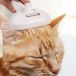 Brosse à vapeur pour chats – 3-en-1 – Convient aux poils longs et courts