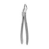 FORCEPS COVETRUS Forceps N51A Wortels