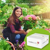 Jub Lorem ipsum BlauwePaars