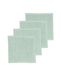 HEMA Serviette pour visage 30x30 Vert Poudré - Qualité Épaisse (vert clair)