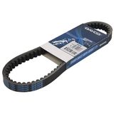 Dayco 8019 V-riem L699 x B18.4