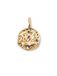 SINGULARU Charm Organic Colors Zodiaco Hanger in messing met 18 kt goud verguld