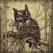 Sonic Rendezvous Austin Lucas - A New Home, In The Old World (CD)