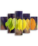 Homemania Wandfoto, motief "Die Welt der Color-5", natuur-pro woonkamer, meerkleurig, 95 x 0,3 x 60 cm, HM205MDF233, MDF