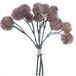 Buitengewoon de boet Globe thistle bundle x3 bruin 26 cm kunsttak Buitengewoon de Boet