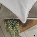 TODAY Parure de lit 2 personnes en coton Charme, 57 fils, Coloris Dune/Craie, Beige, Uni, 220x240 cm