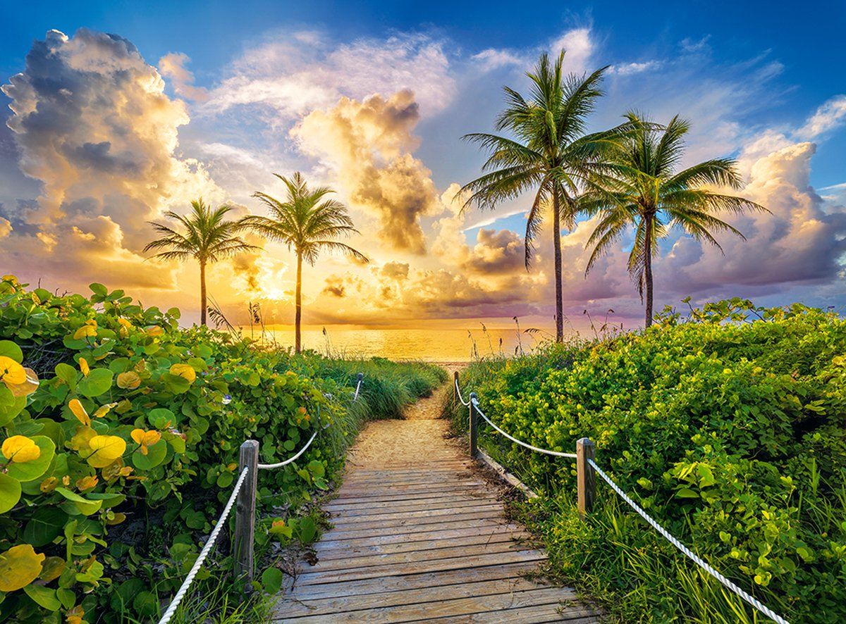 Castorland Miami, USA - Puzzel 3000 stukjes