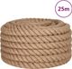 vidaXL Jute Touw - 25 m lang - 40 mm dik