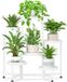 Ibenzoa® Multifunctionele Metalen et Plastique Support de plantes à plusieurs niveaux pour intérieur et extérieur