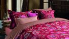 Pip Studio Matata dekbedovertrek - Lit simple - 140 x 200/220 cm - Rouge