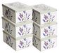 Bol 6 boîtes de rangement avec couvercle, carton, 39x50x24 cm, avec imprimé à pois