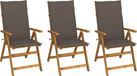 Acacia Bois Massif Chaises Pliantes 3 Pièces avec Coussins