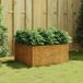 Maison Exclusive - Jardinière en acier Corten, dimensions 80x80x40 cm