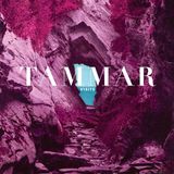Visits Tammar - Visits (LP)