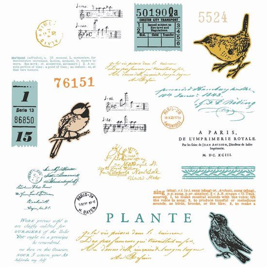 Sizzix Clear Stamp Set A5 with Framelits Die Bird Song 28pcs