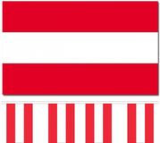 Bellatio Decorations Oostenrijk Vlag 90 x 150 cm en Vlaggenlijn 3m