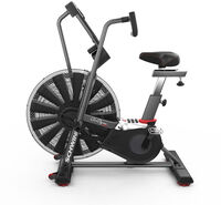 Schwinn Airdyne AD8