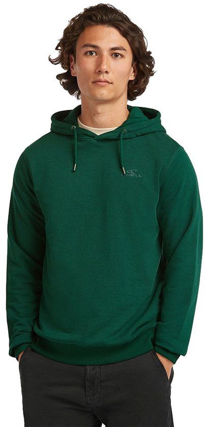 O'Neill Small Logo Hoodie Groen M Man