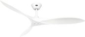 Casafan Eco Airscrew 152 MW-MW Plafondventilator Wit met witte vleugels 152 cm