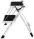 StarTech Twee-traps klapladder - Opvouwbare huishoudladder - Staal - Lichtgewicht en draagbaar - Antislip treden - Trapje voor keuken en huis