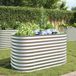 Maison Exclusive - Rehausseur de jardin, 160x80x81 cm, acier galvanisé, couleur argent
