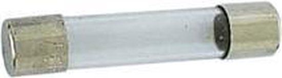 ZEKERING 6.35 x 32mm TRAAG 0.1A (10st./doos) (6FU0.1N)