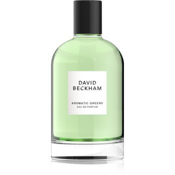 David Beckham Aromatic Greens 100 ml / heren