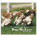 Legacy Dogs we Love Wandkalender 2027