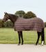 Waldhausen Economic Paardenvliegendeken Bruin 155 cm