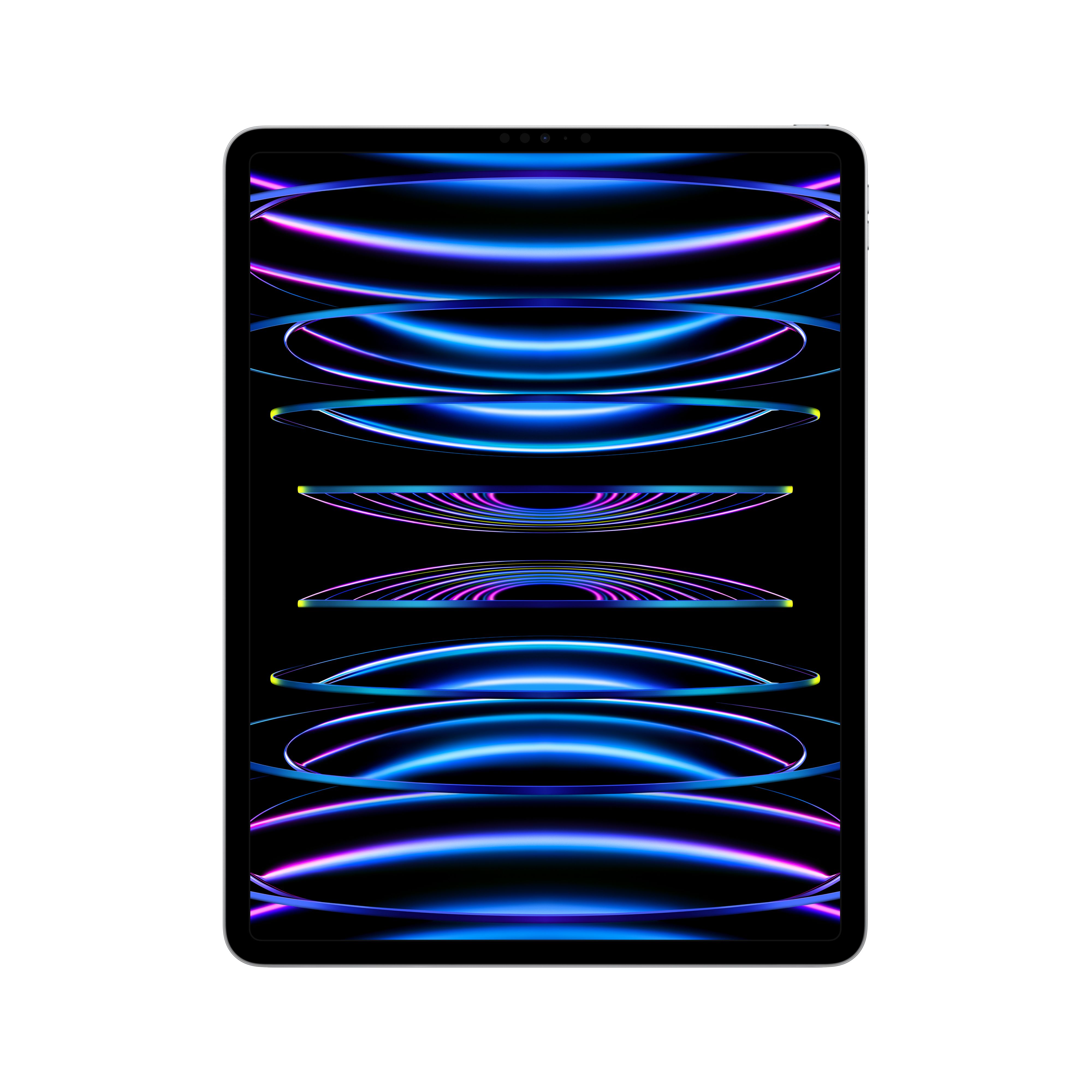 Apple iPad Pro / WiFi / 2TB / Zilver