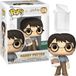 Funko pop! Films : Harry Potter avec gâteau d'anniversaire exclusif #174