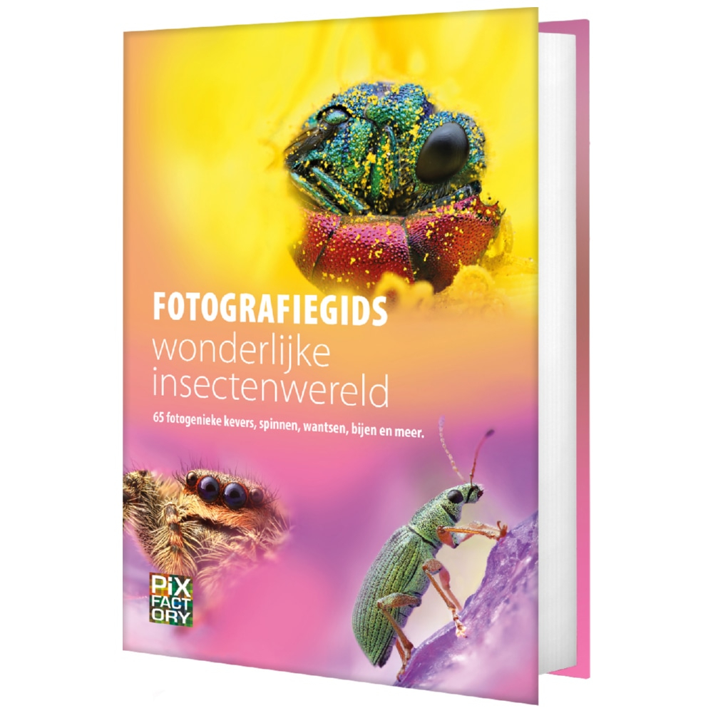 Birdpix Fotografiegids wonderlijke insectenwereld