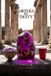 Drinks by Deity Drinks by Deity - Paperback