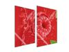 DarHaus Daria Kosta TMK ArtDeko Serie - Plaque de protection en verre pour cuisine, 2x35x52 cm, framboise