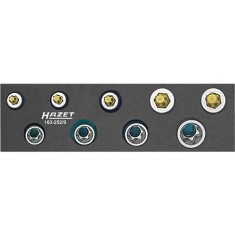 HAZET Werkzeug Module 163-252/9