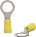 Quadrios 22C460 Ringkabelschoen Geel