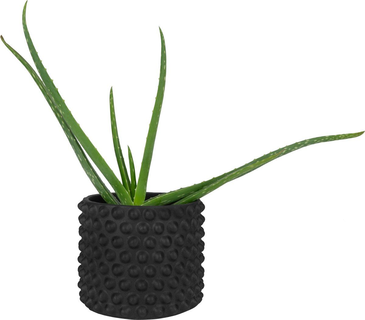 COATY grote ronde bloempot plantenpot warm wit voor binnen en buiten 68cm