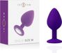 INTENSE ANAL TOYS Intense Shelki M Prise Violet