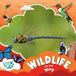 Wildlife on the Wing