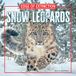 Snow Leopards